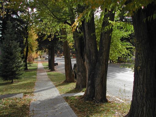 5th_avenue__durango