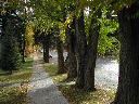 5th_avenue__durango