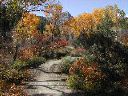 perins_pk_f_durango_mt_park