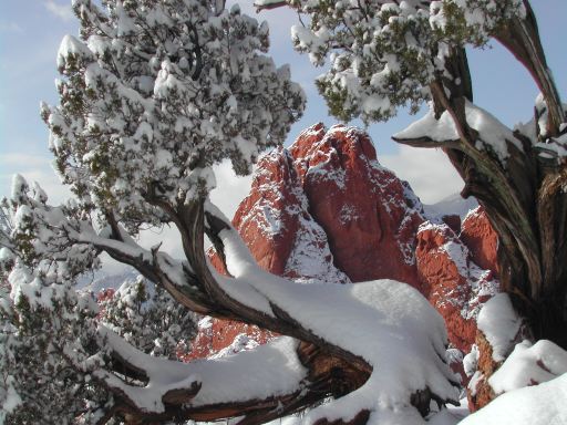 south_gateway_rock__juniper