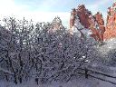 snow_laden_garden