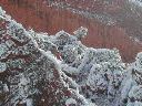 snow_painted_red_rock