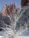 snow_web__n_gateway_rock