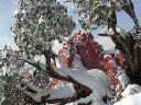 south_gateway_rock__juniper