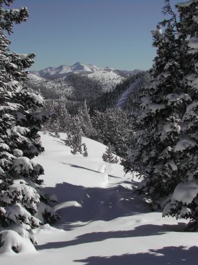 long_branch_baldy
