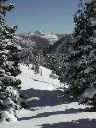 long_branch_baldy