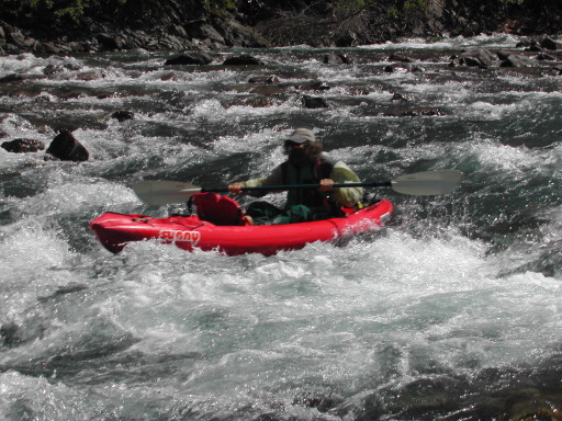 bill_running_rapids_wood_cr