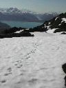 goat_tracks_on_ridge